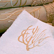 Coral Exotic Absorbent White Ivory Embroidered Towels | Gracious Style