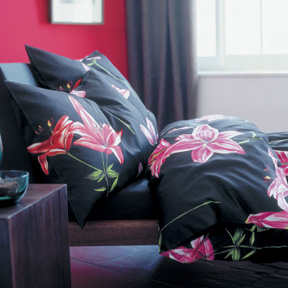 Cotton Sateen Print Bedding Duvet Cover Shams Pillowcase | Gracious Style