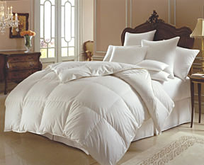 Mirage Siberian 800 Fill Power Down Duvet Cover