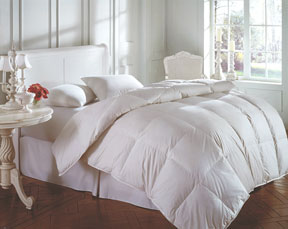 Downright Morning Glory White Goose Down Comforter Duvet 575 fill power | Gracious Style Official Retailer
