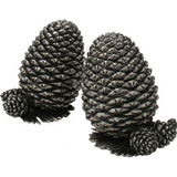 Vagabond House Pine Cone Pewter Salt Pepper Shakers | Gracious Style