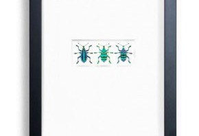 Behind the Scenes with Insect Artist Christopher Marley