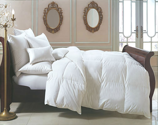 700 Fill Power Hungarian Goose Down Duvet Cover