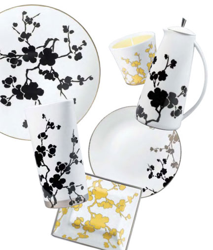 Raynaud Ombrages Limoges Dinnerware