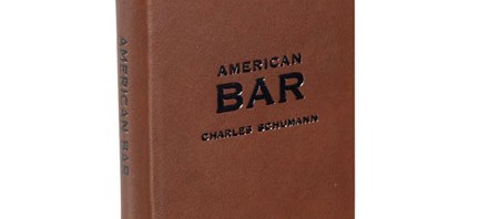 Raising the Bar: Stylish Bar Accessories for your Home